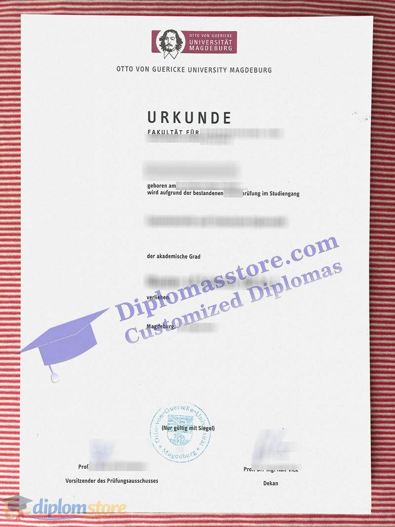 Universität Magdeburg urkunde