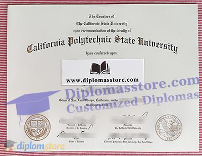California Polytechnic State University Qualification