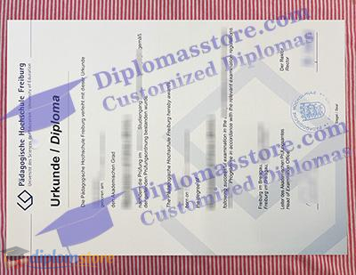 Hochschule Freiburg Qualification