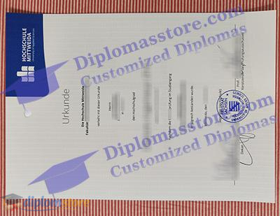 Hochschule Mittweida Credentials