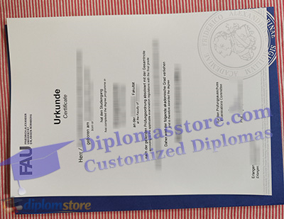 FAU Erlangen-Nürnberg Qualification