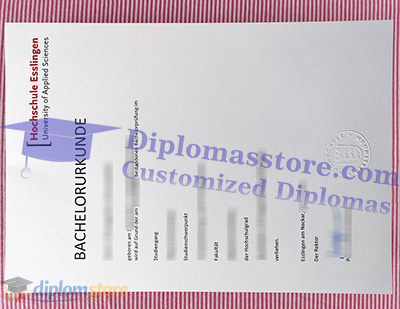 Hochschule Esslingen Credentials