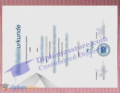 Technische Hochschule Ingolstadt Credentials