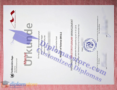 Hagener Management Studium Qualification
