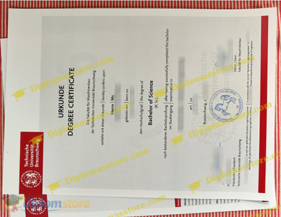 Technische Universität Braunschweig Credentials