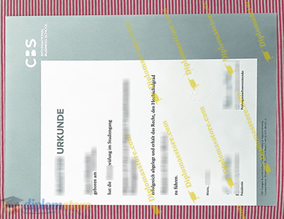 CBS International Business School Credentials