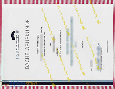 hochschule döpfer Credentials
