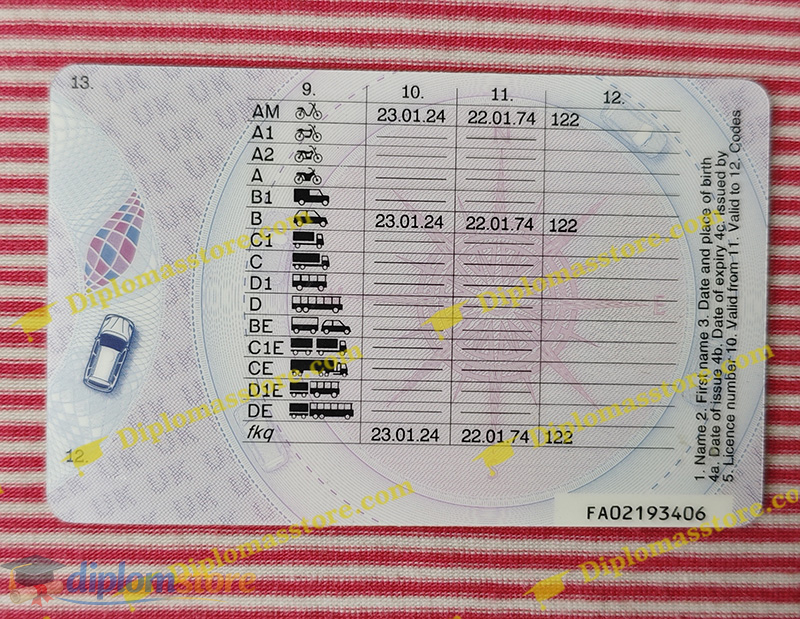 UK driving licence reverse side